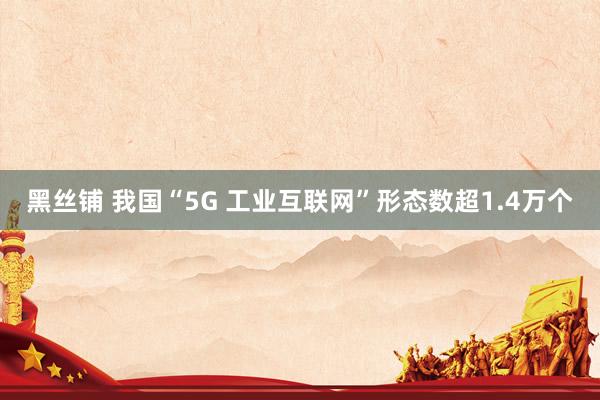 黑丝铺 我国“5G 工业互联网”形态数超1.4万个