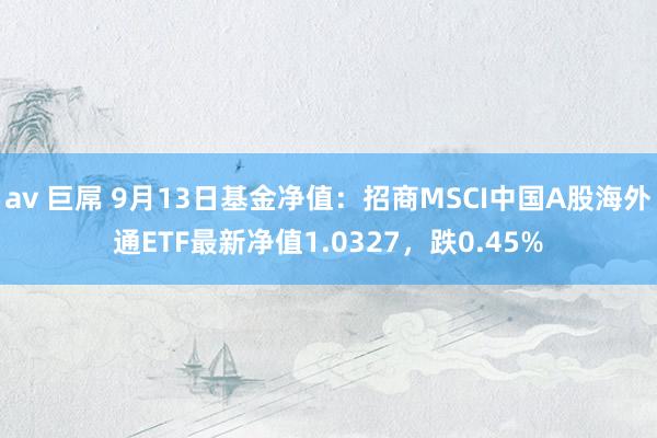 av 巨屌 9月13日基金净值：招商MSCI中国A股海外通ETF最新净值1.0327，跌0.45%