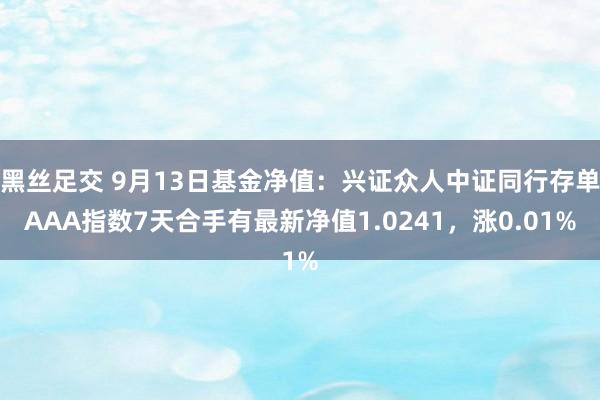 黑丝足交 9月13日基金净值：兴证众人中证同行存单AAA指数7天合手有最新净值1.0241，涨0.01%