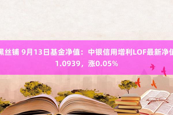 黑丝铺 9月13日基金净值：中银信用增利LOF最新净值1.0939，涨0.05%