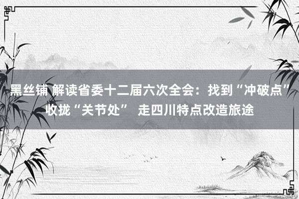 黑丝铺 解读省委十二届六次全会：找到“冲破点”收拢“关节处”  走四川特点改造旅途