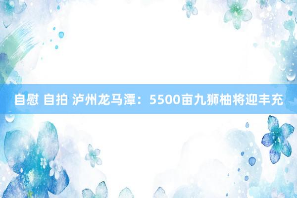 自慰 自拍 泸州龙马潭：5500亩九狮柚将迎丰充