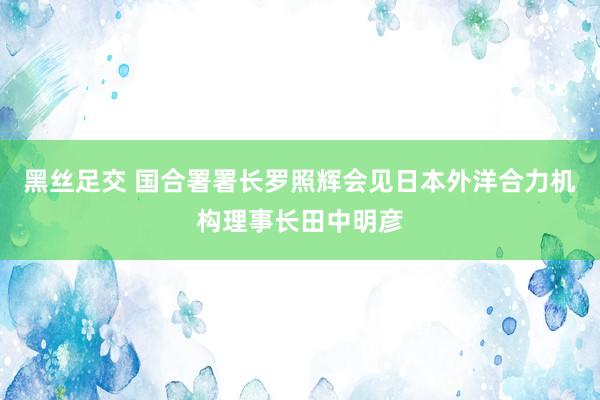 黑丝足交 国合署署长罗照辉会见日本外洋合力机构理事长田中明彦