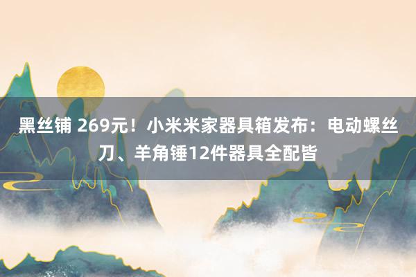 黑丝铺 269元！小米米家器具箱发布：电动螺丝刀、羊角锤12件器具全配皆