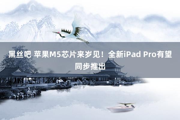 黑丝吧 苹果M5芯片来岁见！全新iPad Pro有望同步推出