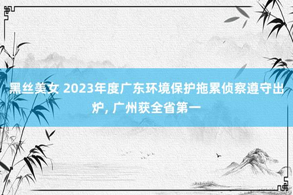 黑丝美女 2023年度广东环境保护拖累侦察遵守出炉， 广州获全省第一