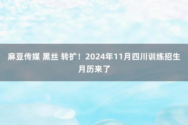 麻豆传媒 黑丝 转扩！2024年11月四川训练招生月历来了