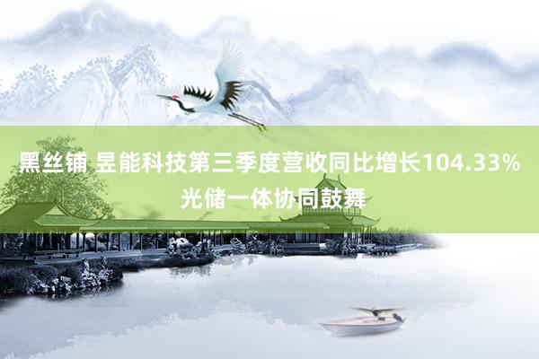 黑丝铺 昱能科技第三季度营收同比增长104.33% 光储一体协同鼓舞