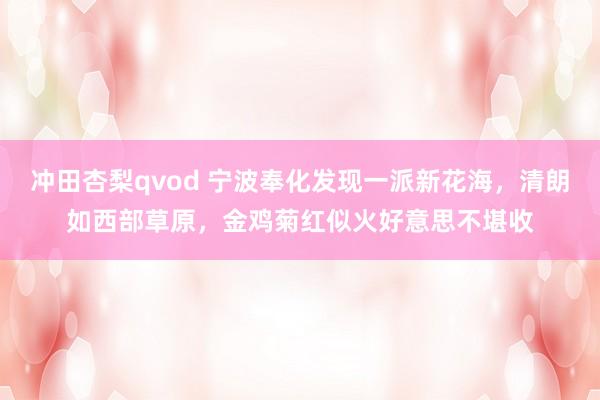 冲田杏梨qvod 宁波奉化发现一派新花海，清朗如西部草原，金鸡菊红似火好意思不堪收