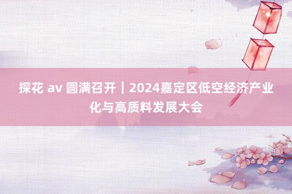 探花 av 圆满召开｜2024嘉定区低空经济产业化与高质料发展大会