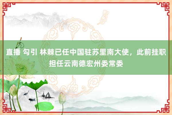 直播 勾引 林棘已任中国驻苏里南大使，此前挂职担任云南德宏州委常委