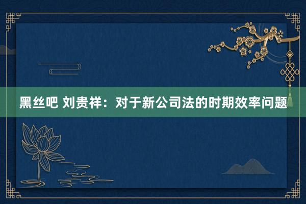 黑丝吧 刘贵祥：对于新公司法的时期效率问题