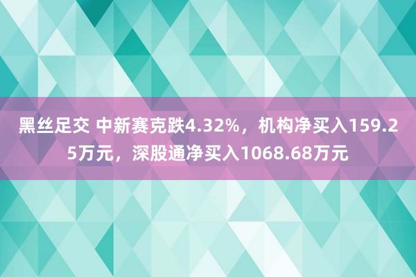 黑丝足交 中新赛克跌4.32%，机构净买入159.25万元，深股通净买入1068.68万元