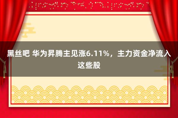 黑丝吧 华为昇腾主见涨6.11%，主力资金净流入这些股