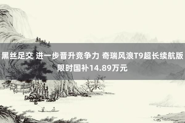 黑丝足交 进一步晋升竞争力 奇瑞风浪T9超长续航版限时国补14.89万元