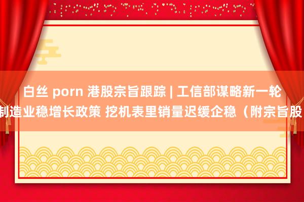 白丝 porn 港股宗旨跟踪 | 工信部谋略新一轮制造业稳增长政策 挖机表里销量迟缓企稳（附宗旨股）