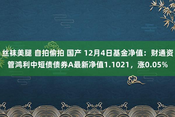 丝袜美腿 自拍偷拍 国产 12月4日基金净值：财通资管鸿利中短债债券A最新净值1.1021，涨0.05%