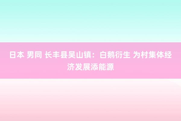 日本 男同 长丰县吴山镇：白鹅衍生 为村集体经济发展添能源