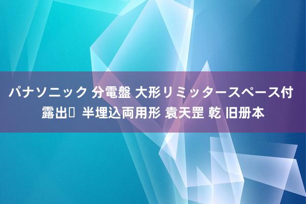 パナソニック 分電盤 大形リミッタースペース付 露出・半埋込両用形 袁天罡 乾 旧册本