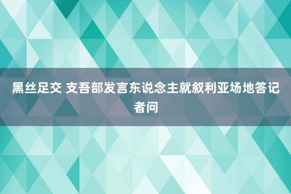 黑丝足交 支吾部发言东说念主就叙利亚场地答记者问