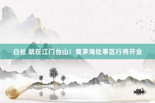 白丝 就在江门台山！黄茅海处事区行将开业