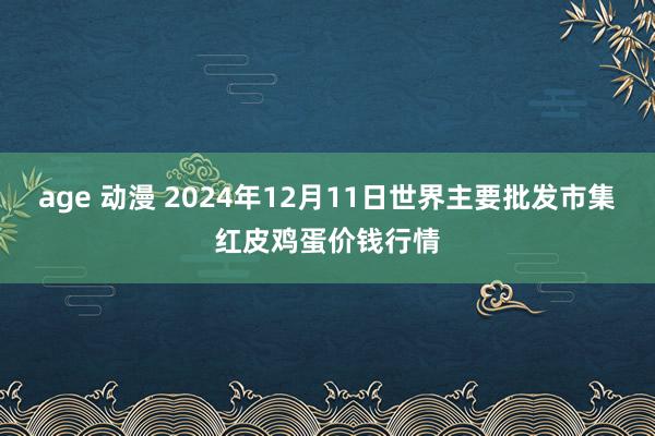 age 动漫 2024年12月11日世界主要批发市集红皮鸡蛋价钱行情