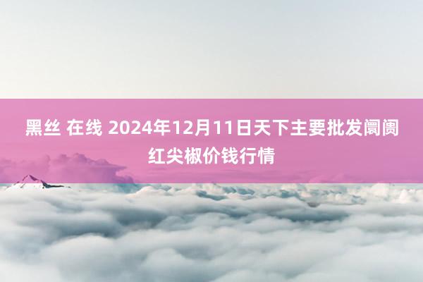 黑丝 在线 2024年12月11日天下主要批发阛阓红尖椒价钱行情