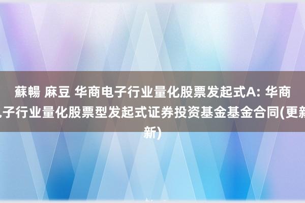 蘇暢 麻豆 华商电子行业量化股票发起式A: 华商电子行业量化股票型发起式证券投资基金基金合同(更新)