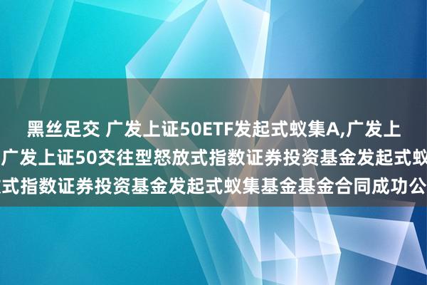 黑丝足交 广发上证50ETF发起式蚁集A，广发上证50ETF发起式蚁集C: 广发上证50交往型怒放式指数证券投资基金发起式蚁集基金基金合同成功公告