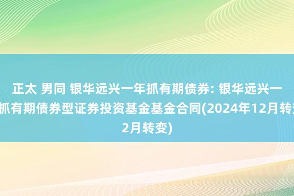 正太 男同 银华远兴一年抓有期债券: 银华远兴一年抓有期债券型证券投资基金基金合同(2024年12月转变)