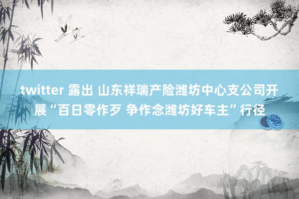 twitter 露出 山东祥瑞产险潍坊中心支公司开展“百日零作歹 争作念潍坊好车主”行径