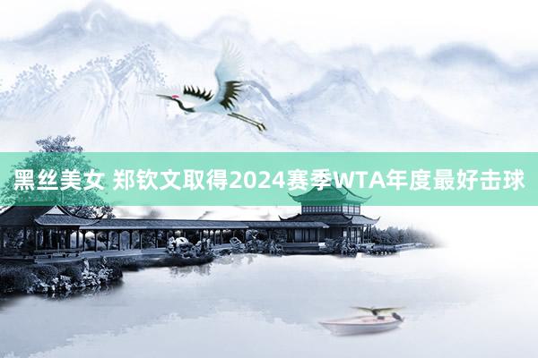 黑丝美女 郑钦文取得2024赛季WTA年度最好击球