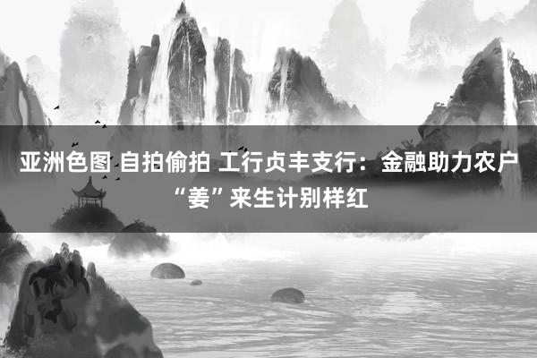 亚洲色图 自拍偷拍 工行贞丰支行：金融助力农户“姜”来生计别样红