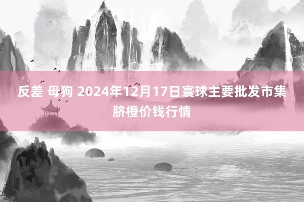 反差 母狗 2024年12月17日寰球主要批发市集脐橙价钱行情