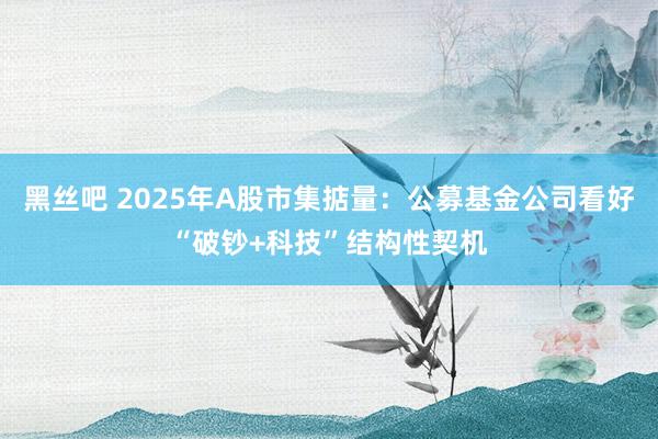 黑丝吧 2025年A股市集掂量：公募基金公司看好“破钞+科技”结构性契机