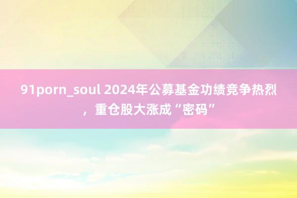 91porn_soul 2024年公募基金功绩竞争热烈，重仓股大涨成“密码”