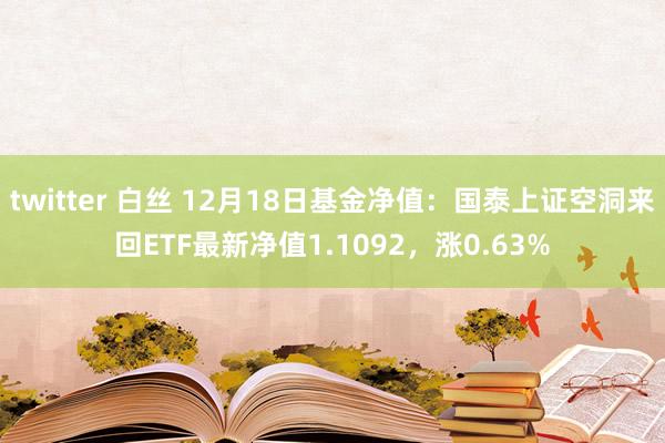 twitter 白丝 12月18日基金净值：国泰上证空洞来回ETF最新净值1.1092，涨0.63%