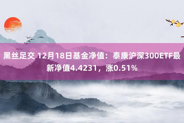 黑丝足交 12月18日基金净值：泰康沪深300ETF最新净值4.4231，涨0.51%