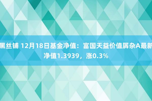 黑丝铺 12月18日基金净值：富国天益价值羼杂A最新净值1.3939，涨0.3%