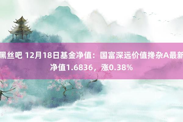 黑丝吧 12月18日基金净值：国富深远价值搀杂A最新净值1.6836，涨0.38%