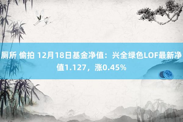 厕所 偷拍 12月18日基金净值：兴全绿色LOF最新净值1.127，涨0.45%