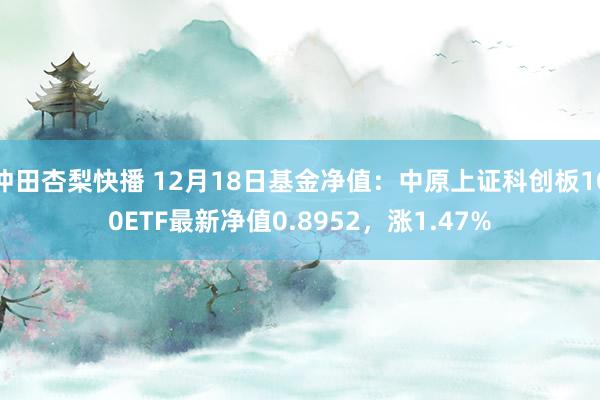 冲田杏梨快播 12月18日基金净值：中原上证科创板100ETF最新净值0.8952，涨1.47%