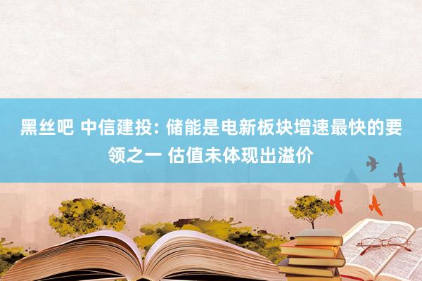 黑丝吧 中信建投: 储能是电新板块增速最快的要领之一 估值未体现出溢价