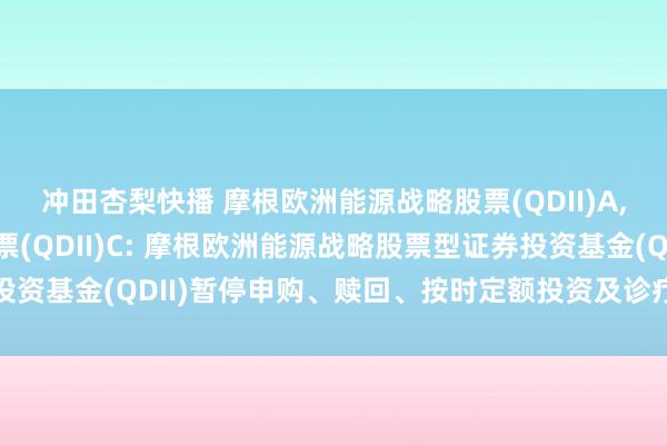 冲田杏梨快播 摩根欧洲能源战略股票(QDII)A，摩根欧洲能源战略股票(QDII)C: 摩根欧洲能源战略股票型证券投资基金(QDII)暂停申购、赎回、按时定额投资及诊疗转入业务的公告