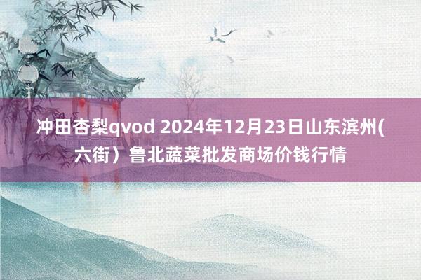 冲田杏梨qvod 2024年12月23日山东滨州(六街）鲁北蔬菜批发商场价钱行情