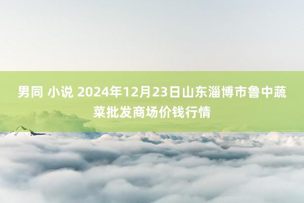 男同 小说 2024年12月23日山东淄博市鲁中蔬菜批发商场价钱行情