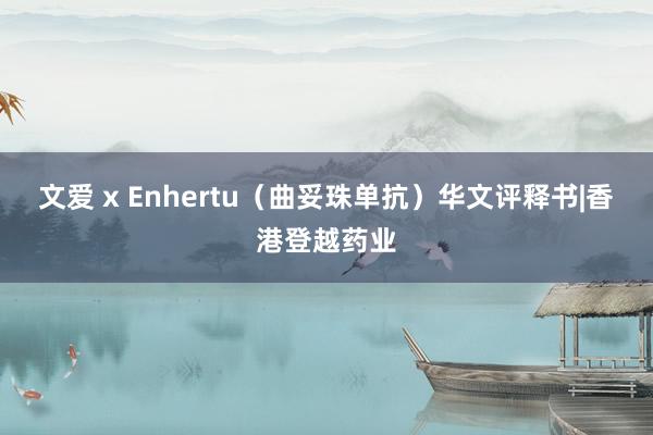 文爱 x Enhertu（曲妥珠单抗）华文评释书|香港登越药业