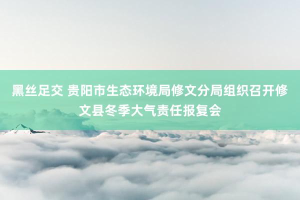 黑丝足交 贵阳市生态环境局修文分局组织召开修文县冬季大气责任报复会