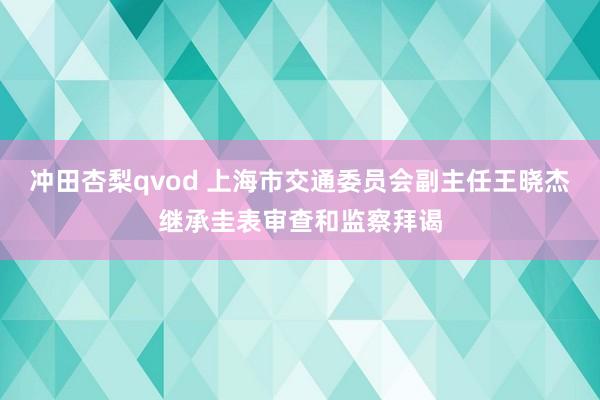 冲田杏梨qvod 上海市交通委员会副主任王晓杰继承圭表审查和监察拜谒