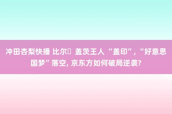 冲田杏梨快播 比尔・盖茨王人 “盖印”， “好意思国梦”落空， 京东方如何破局逆袭?